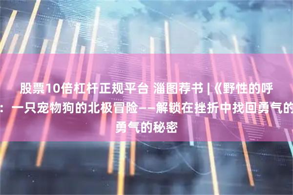 股票10倍杠杆正规平台 淄图荐书 |《野性的呼唤》：一只宠物狗的北极冒险——解锁在挫折中找回勇气的秘密