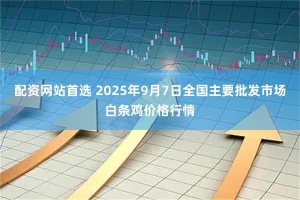 配资网站首选 2025年9月7日全国主要批发市场白条鸡价格行情